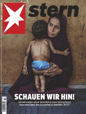 cover image of stern